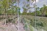 Land for sale in Khok Kloi, Phang Nga