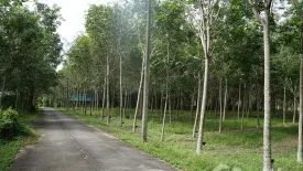 Land for sale in Khok Kloi, Phang Nga