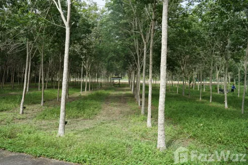 Land for sale in Khok Kloi, Phang Nga