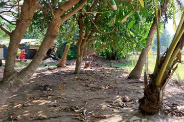 Land for sale in Khok Kloi, Phang Nga