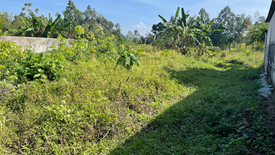 Land for sale in Khok Kloi, Phang Nga