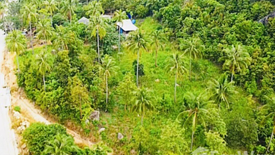 Land for sale in Ban Tai, Surat Thani