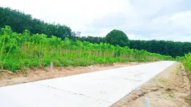 Land for sale in Makham Khu, Rayong