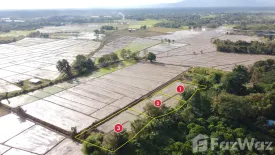 Land for sale in Rong Wua Daeng, Chiang Mai