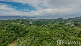 Land for sale in Choeng Thale, Phuket