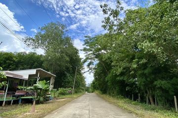 Land for sale in Hin Dat, Kanchanaburi