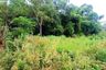 Land for sale in Na Kluea, Chonburi