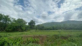 Land for sale in Mae Chan, Chiang Rai