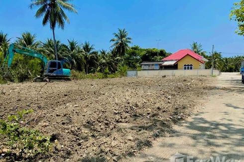 Land for sale in Don Khlang, Ratchaburi