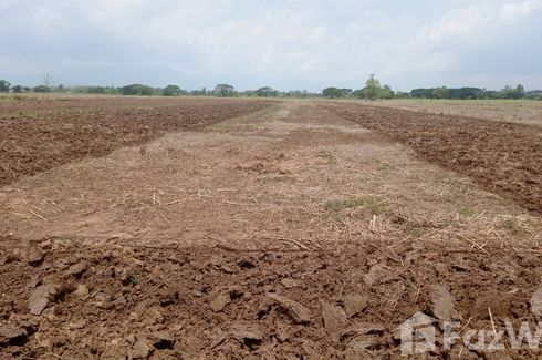 Land for sale in Dok Khamtai, Phayao