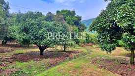 Land for sale in Takhian Thong, Chanthaburi