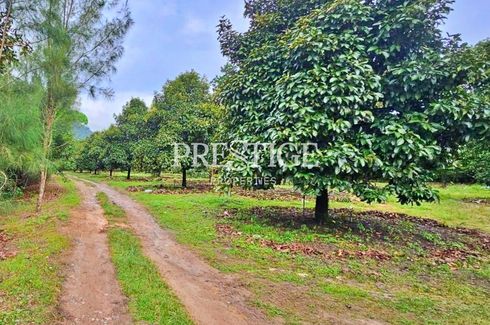 Land for sale in Takhian Thong, Chanthaburi