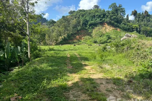 Land for sale in Si Sunthon, Phuket