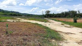 Land for sale in Thep Krasatti, Phuket