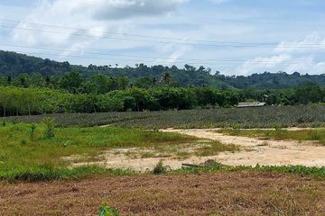 Land for sale in Thep Krasatti, Phuket