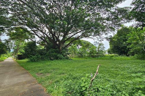 Land for sale in Don Kaeo, Chiang Mai