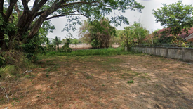 Land for sale in Don Kaeo, Chiang Mai