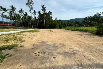 Land for sale in Mae Nam, Surat Thani