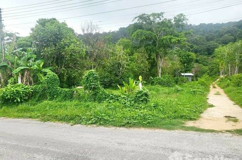 Land for sale in Thep Krasatti, Phuket