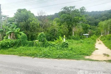 Land for sale in Thep Krasatti, Phuket