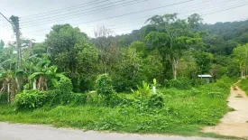 Land for sale in Thep Krasatti, Phuket