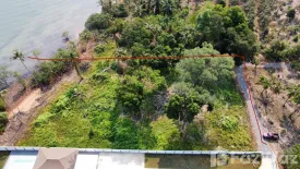 Land for sale in Ko Chang, Trat