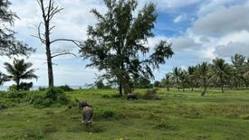 Land for sale in Khok Kloi, Phang Nga