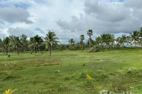 Land for sale in Khok Kloi, Phang Nga