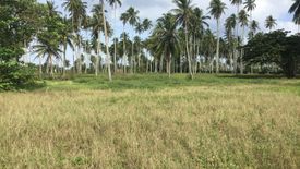 Land for sale in Khok Kloi, Phang Nga