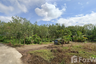 Land for sale in Khok Kloi, Phang Nga