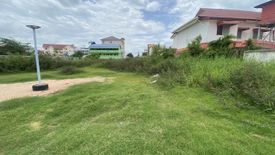 Land for sale in Nong Prue, Chonburi