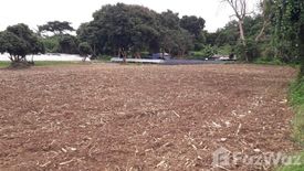 Land for sale in Mueang Kaeo, Chiang Mai