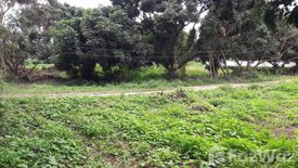 Land for sale in Mueang Kaeo, Chiang Mai