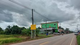 Land for sale in Phen, Udon Thani