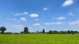 Land for sale in Nong Khaem, Saraburi