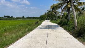 Land for sale in Nong Khaem, Saraburi