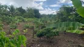 Land for sale in Cho Lae, Chiang Mai