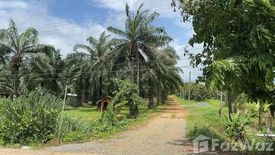 Land for sale in Nong Bon, Trat