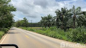 Land for sale in Nong Bon, Trat