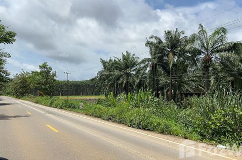 Land for sale in Nong Bon, Trat