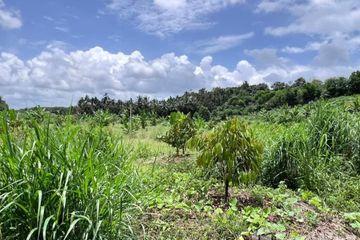 Land for sale in Nong Bon, Trat