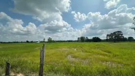 Land for sale in Nong Tat, Buriram