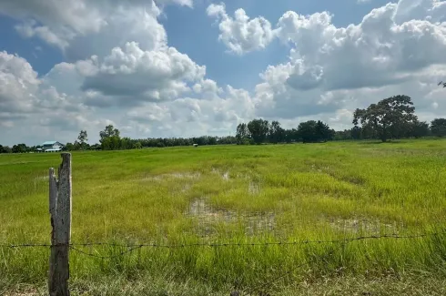 Land for sale in Nong Tat, Buriram