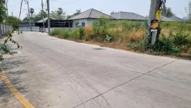 Land for sale in Nong Mai Daeng, Chonburi