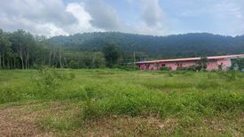 Land for sale in Pa Khlok, Phuket