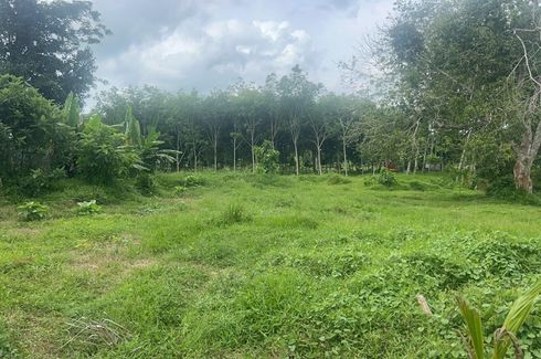 Land for sale in Pa Khlok, Phuket