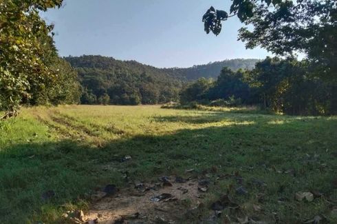 Land for sale in Mae Pong, Chiang Mai