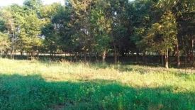 Land for sale in Mae Pong, Chiang Mai