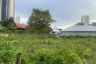 Land for sale in Nong Prue, Chonburi