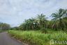 Land for sale in Khok Kloi, Phang Nga
